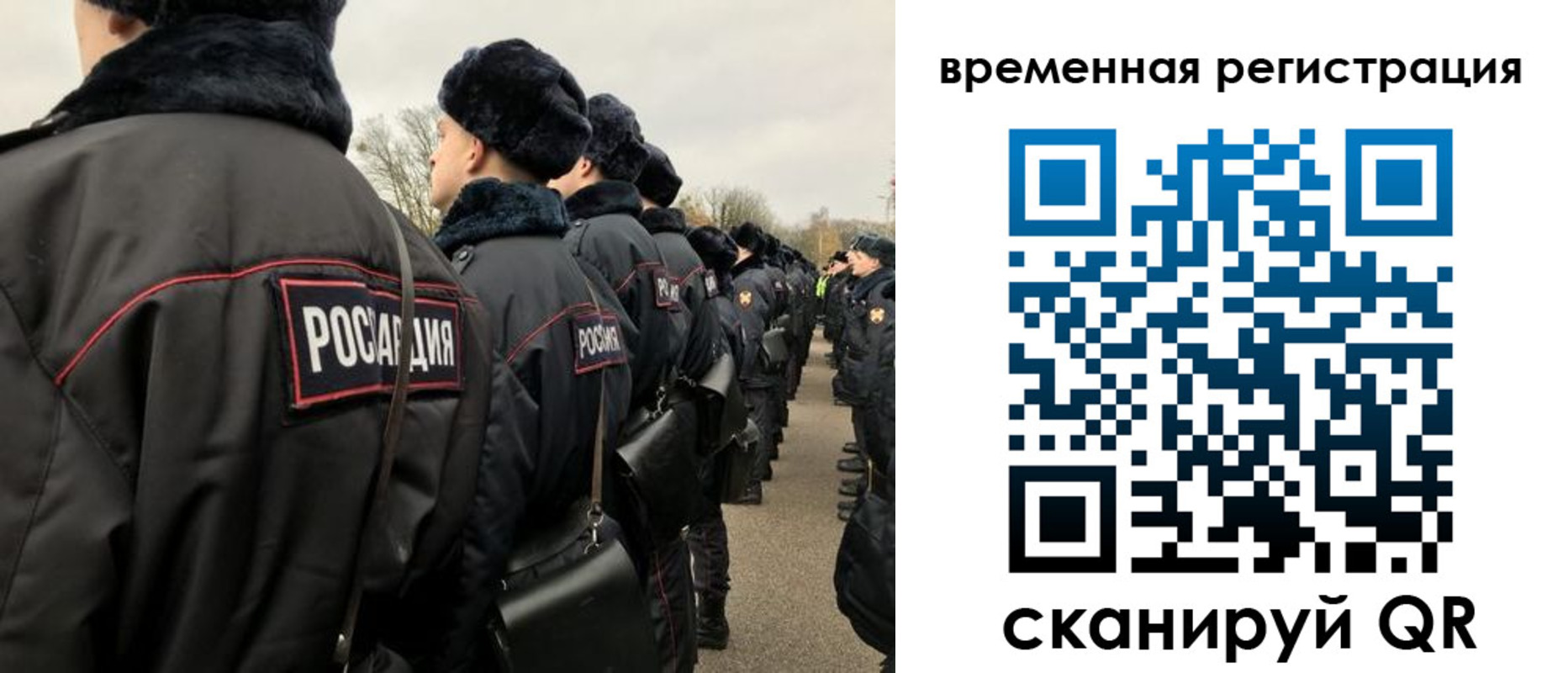 прописка гарантия в Звенигово